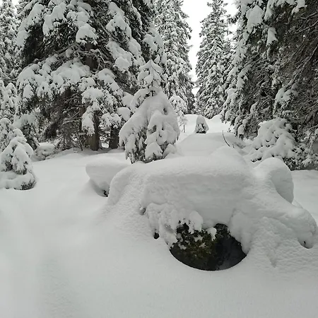 Felix-adults Only * Neustift im Stubaital