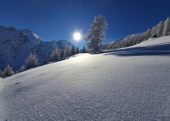 Appartement Felix-adults Only *