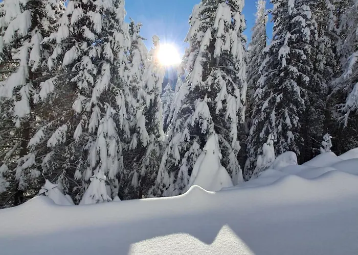 Lägenhet Felix-adults Only