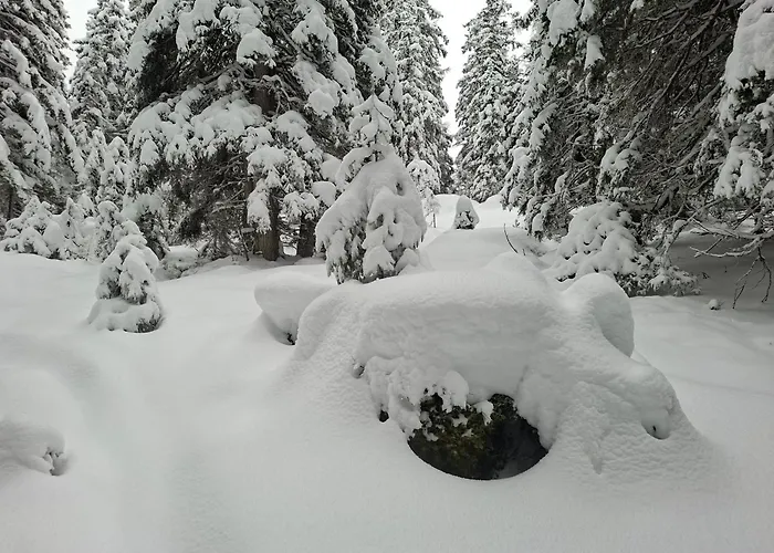 Felix-adults Only * Neustift im Stubaital