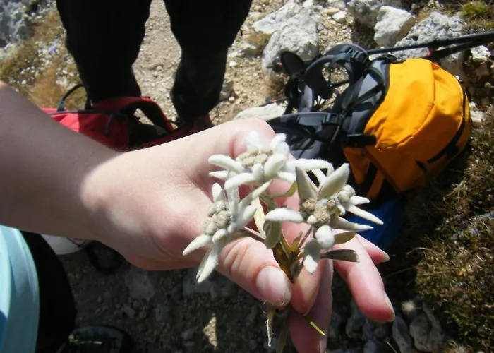 Felix-adults Only Appartement