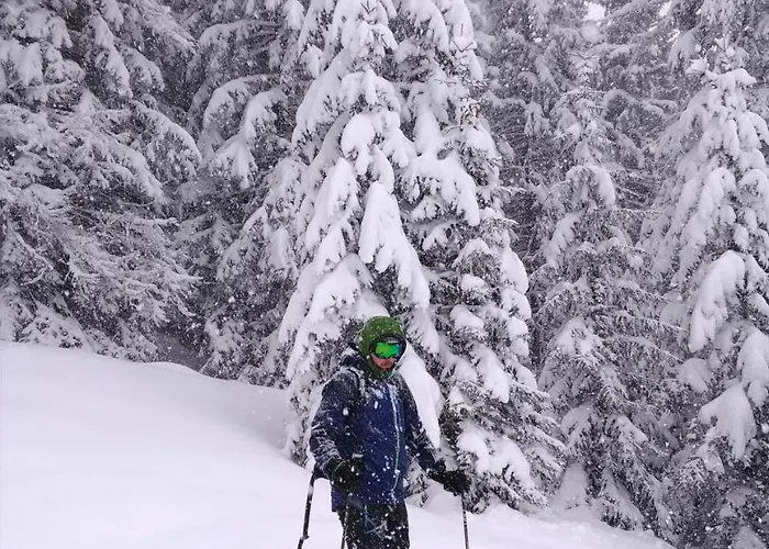 Appartement Felix-adults Only *